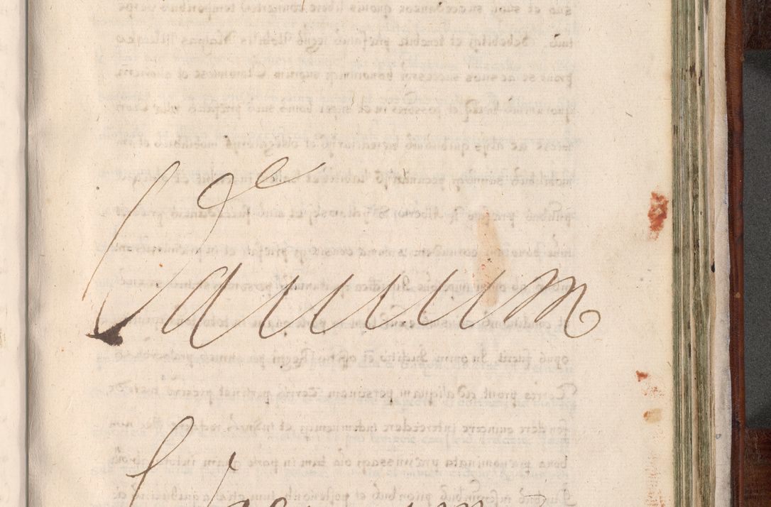 Zdjęcie nr 882 dla obiektu archiwalnego: Acta actorum, obligationum, erectionum, decretorum, rovisionum, instutionum, confirmationum caeterarumque causarum et negotiorum ad forum spirituale pertinentium coram R. D. Georgio S. R. E. Cardinali presbytero Radziwiłł nuncupato, perpetuo administratore episcopatus Cracoviensis et Ducatus Severiensis, duce in Olika et Nieśież, Sacrique Romani Imperii principe ab anno 1597 ad annum 1600 diem 12 Februarii inclusive, etiam sub ansentia eius Cracoviae acticatorum.