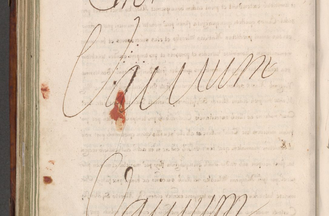 Zdjęcie nr 881 dla obiektu archiwalnego: Acta actorum, obligationum, erectionum, decretorum, rovisionum, instutionum, confirmationum caeterarumque causarum et negotiorum ad forum spirituale pertinentium coram R. D. Georgio S. R. E. Cardinali presbytero Radziwiłł nuncupato, perpetuo administratore episcopatus Cracoviensis et Ducatus Severiensis, duce in Olika et Nieśież, Sacrique Romani Imperii principe ab anno 1597 ad annum 1600 diem 12 Februarii inclusive, etiam sub ansentia eius Cracoviae acticatorum.