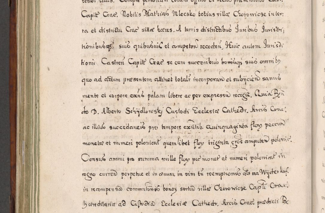 Zdjęcie nr 879 dla obiektu archiwalnego: Acta actorum, obligationum, erectionum, decretorum, rovisionum, instutionum, confirmationum caeterarumque causarum et negotiorum ad forum spirituale pertinentium coram R. D. Georgio S. R. E. Cardinali presbytero Radziwiłł nuncupato, perpetuo administratore episcopatus Cracoviensis et Ducatus Severiensis, duce in Olika et Nieśież, Sacrique Romani Imperii principe ab anno 1597 ad annum 1600 diem 12 Februarii inclusive, etiam sub ansentia eius Cracoviae acticatorum.