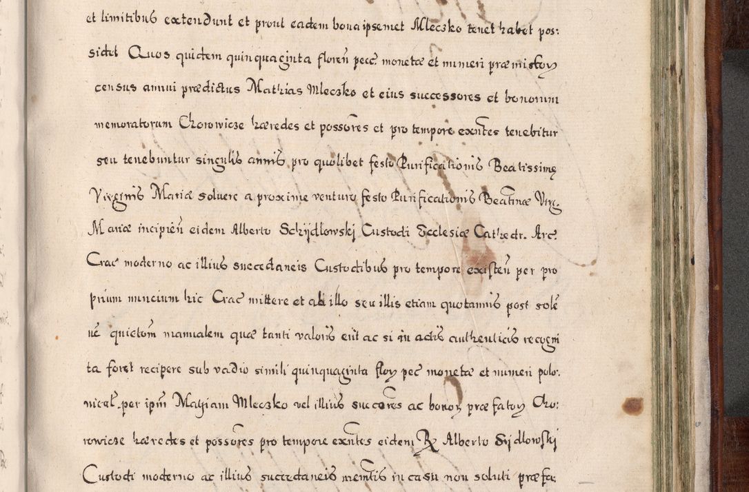 Zdjęcie nr 880 dla obiektu archiwalnego: Acta actorum, obligationum, erectionum, decretorum, rovisionum, instutionum, confirmationum caeterarumque causarum et negotiorum ad forum spirituale pertinentium coram R. D. Georgio S. R. E. Cardinali presbytero Radziwiłł nuncupato, perpetuo administratore episcopatus Cracoviensis et Ducatus Severiensis, duce in Olika et Nieśież, Sacrique Romani Imperii principe ab anno 1597 ad annum 1600 diem 12 Februarii inclusive, etiam sub ansentia eius Cracoviae acticatorum.