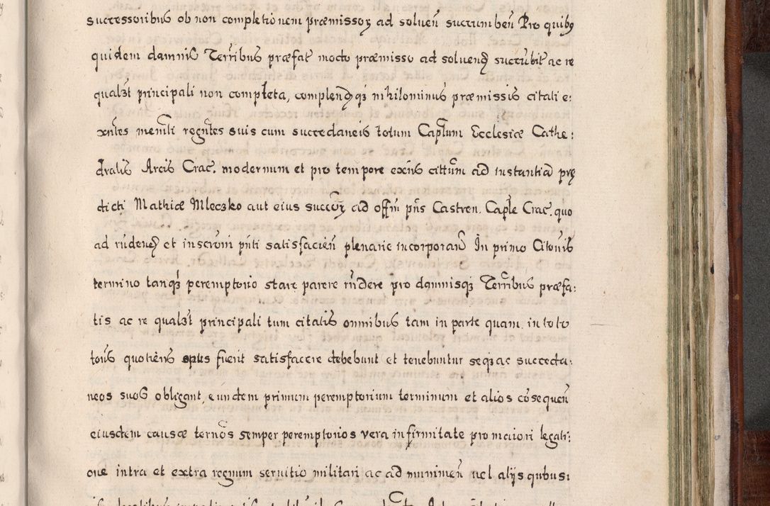 Zdjęcie nr 878 dla obiektu archiwalnego: Acta actorum, obligationum, erectionum, decretorum, rovisionum, instutionum, confirmationum caeterarumque causarum et negotiorum ad forum spirituale pertinentium coram R. D. Georgio S. R. E. Cardinali presbytero Radziwiłł nuncupato, perpetuo administratore episcopatus Cracoviensis et Ducatus Severiensis, duce in Olika et Nieśież, Sacrique Romani Imperii principe ab anno 1597 ad annum 1600 diem 12 Februarii inclusive, etiam sub ansentia eius Cracoviae acticatorum.
