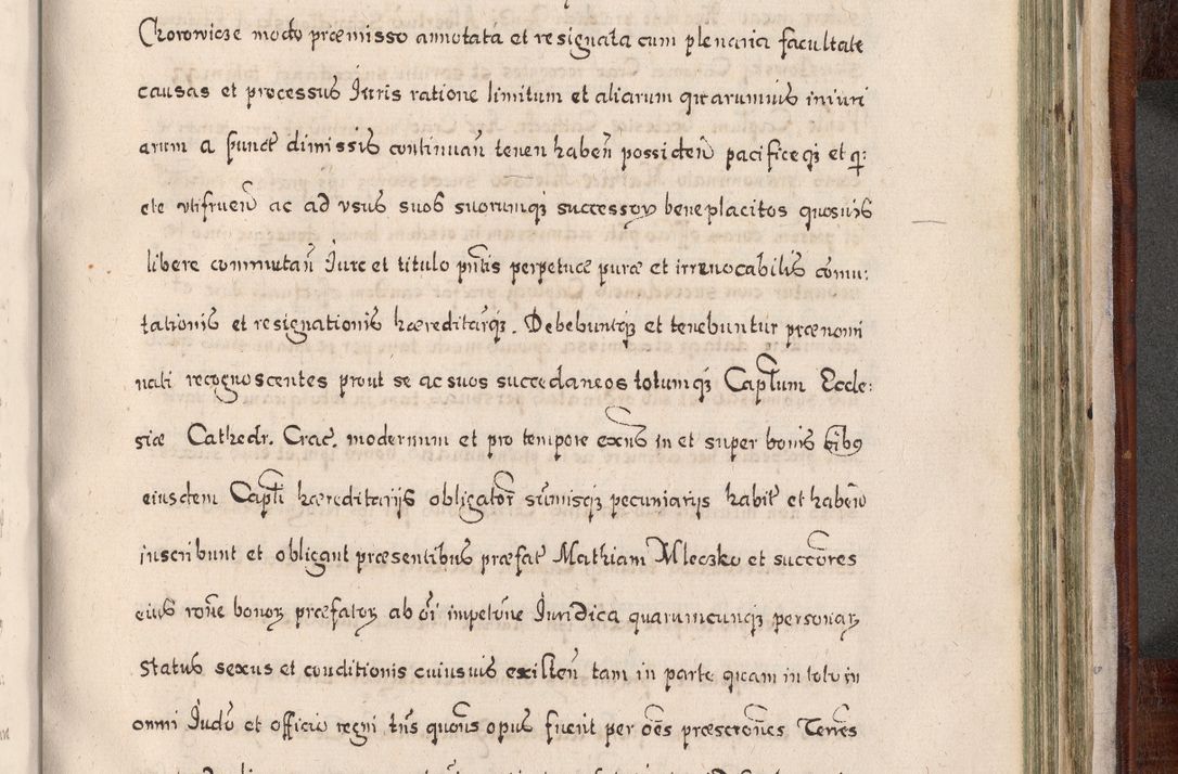 Zdjęcie nr 876 dla obiektu archiwalnego: Acta actorum, obligationum, erectionum, decretorum, rovisionum, instutionum, confirmationum caeterarumque causarum et negotiorum ad forum spirituale pertinentium coram R. D. Georgio S. R. E. Cardinali presbytero Radziwiłł nuncupato, perpetuo administratore episcopatus Cracoviensis et Ducatus Severiensis, duce in Olika et Nieśież, Sacrique Romani Imperii principe ab anno 1597 ad annum 1600 diem 12 Februarii inclusive, etiam sub ansentia eius Cracoviae acticatorum.