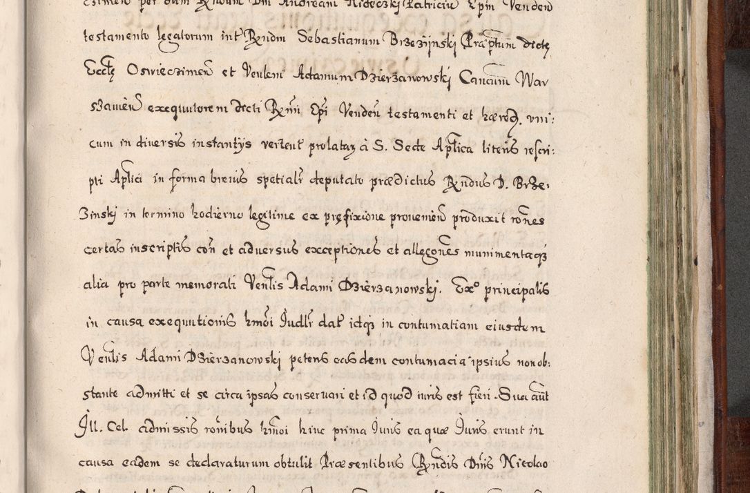 Zdjęcie nr 868 dla obiektu archiwalnego: Acta actorum, obligationum, erectionum, decretorum, rovisionum, instutionum, confirmationum caeterarumque causarum et negotiorum ad forum spirituale pertinentium coram R. D. Georgio S. R. E. Cardinali presbytero Radziwiłł nuncupato, perpetuo administratore episcopatus Cracoviensis et Ducatus Severiensis, duce in Olika et Nieśież, Sacrique Romani Imperii principe ab anno 1597 ad annum 1600 diem 12 Februarii inclusive, etiam sub ansentia eius Cracoviae acticatorum.