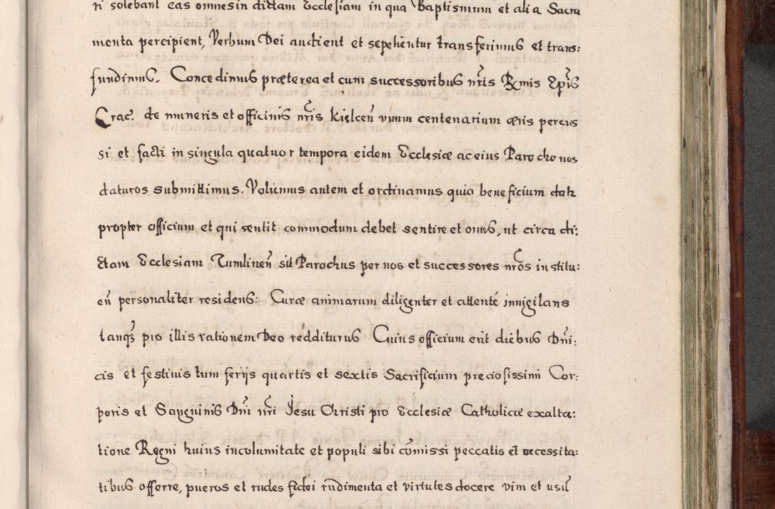 Zdjęcie nr 818 dla obiektu archiwalnego: Acta actorum, obligationum, erectionum, decretorum, rovisionum, instutionum, confirmationum caeterarumque causarum et negotiorum ad forum spirituale pertinentium coram R. D. Georgio S. R. E. Cardinali presbytero Radziwiłł nuncupato, perpetuo administratore episcopatus Cracoviensis et Ducatus Severiensis, duce in Olika et Nieśież, Sacrique Romani Imperii principe ab anno 1597 ad annum 1600 diem 12 Februarii inclusive, etiam sub ansentia eius Cracoviae acticatorum.