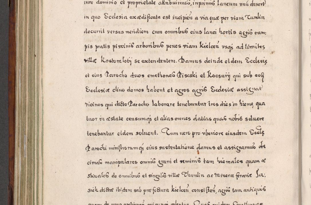 Zdjęcie nr 817 dla obiektu archiwalnego: Acta actorum, obligationum, erectionum, decretorum, rovisionum, instutionum, confirmationum caeterarumque causarum et negotiorum ad forum spirituale pertinentium coram R. D. Georgio S. R. E. Cardinali presbytero Radziwiłł nuncupato, perpetuo administratore episcopatus Cracoviensis et Ducatus Severiensis, duce in Olika et Nieśież, Sacrique Romani Imperii principe ab anno 1597 ad annum 1600 diem 12 Februarii inclusive, etiam sub ansentia eius Cracoviae acticatorum.