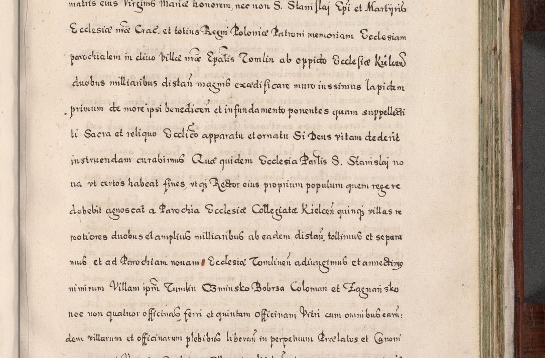 Zdjęcie nr 816 dla obiektu archiwalnego: Acta actorum, obligationum, erectionum, decretorum, rovisionum, instutionum, confirmationum caeterarumque causarum et negotiorum ad forum spirituale pertinentium coram R. D. Georgio S. R. E. Cardinali presbytero Radziwiłł nuncupato, perpetuo administratore episcopatus Cracoviensis et Ducatus Severiensis, duce in Olika et Nieśież, Sacrique Romani Imperii principe ab anno 1597 ad annum 1600 diem 12 Februarii inclusive, etiam sub ansentia eius Cracoviae acticatorum.