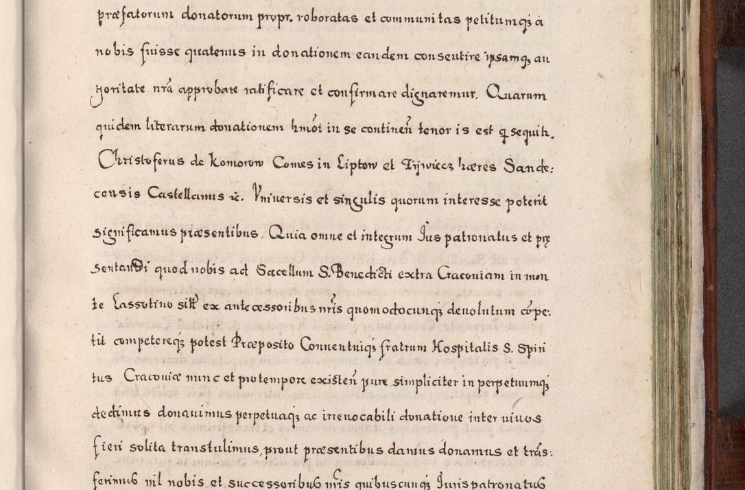 Zdjęcie nr 812 dla obiektu archiwalnego: Acta actorum, obligationum, erectionum, decretorum, rovisionum, instutionum, confirmationum caeterarumque causarum et negotiorum ad forum spirituale pertinentium coram R. D. Georgio S. R. E. Cardinali presbytero Radziwiłł nuncupato, perpetuo administratore episcopatus Cracoviensis et Ducatus Severiensis, duce in Olika et Nieśież, Sacrique Romani Imperii principe ab anno 1597 ad annum 1600 diem 12 Februarii inclusive, etiam sub ansentia eius Cracoviae acticatorum.