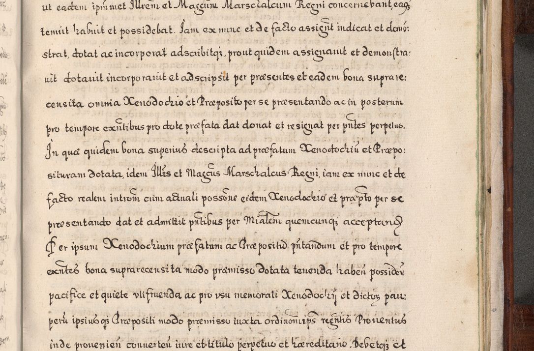 Zdjęcie nr 1014 dla obiektu archiwalnego: Acta actorum, obligationum, erectionum, decretorum, rovisionum, instutionum, confirmationum caeterarumque causarum et negotiorum ad forum spirituale pertinentium coram R. D. Georgio S. R. E. Cardinali presbytero Radziwiłł nuncupato, perpetuo administratore episcopatus Cracoviensis et Ducatus Severiensis, duce in Olika et Nieśież, Sacrique Romani Imperii principe ab anno 1597 ad annum 1600 diem 12 Februarii inclusive, etiam sub ansentia eius Cracoviae acticatorum.