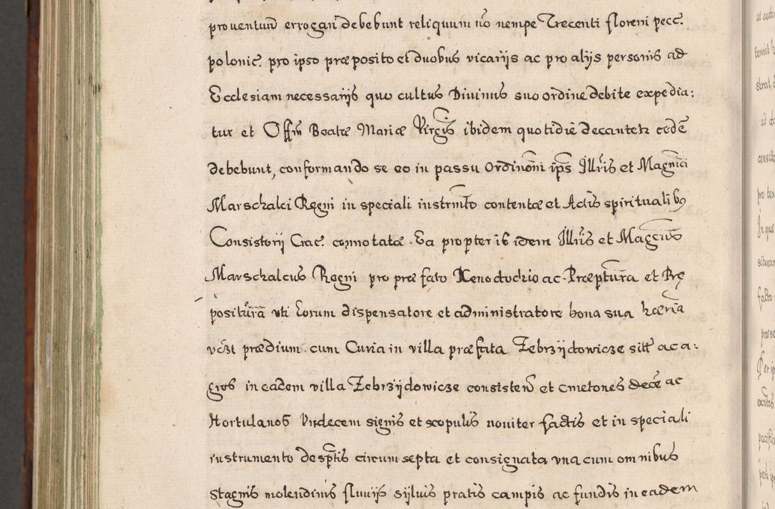 Zdjęcie nr 1013 dla obiektu archiwalnego: Acta actorum, obligationum, erectionum, decretorum, rovisionum, instutionum, confirmationum caeterarumque causarum et negotiorum ad forum spirituale pertinentium coram R. D. Georgio S. R. E. Cardinali presbytero Radziwiłł nuncupato, perpetuo administratore episcopatus Cracoviensis et Ducatus Severiensis, duce in Olika et Nieśież, Sacrique Romani Imperii principe ab anno 1597 ad annum 1600 diem 12 Februarii inclusive, etiam sub ansentia eius Cracoviae acticatorum.