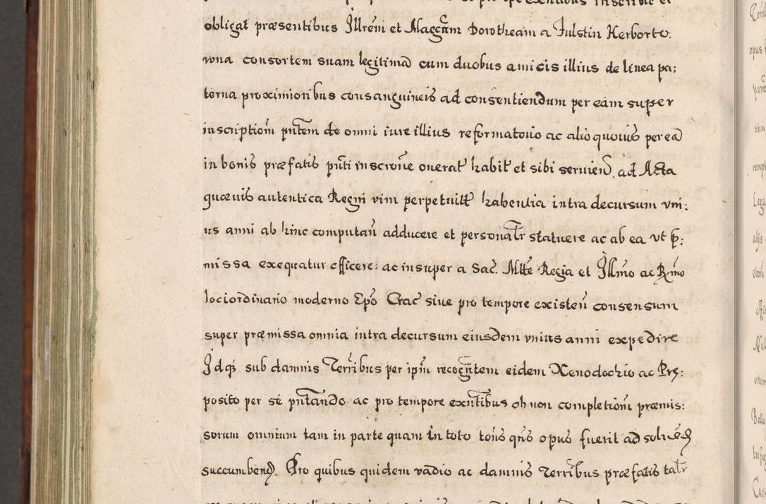 Zdjęcie nr 1017 dla obiektu archiwalnego: Acta actorum, obligationum, erectionum, decretorum, rovisionum, instutionum, confirmationum caeterarumque causarum et negotiorum ad forum spirituale pertinentium coram R. D. Georgio S. R. E. Cardinali presbytero Radziwiłł nuncupato, perpetuo administratore episcopatus Cracoviensis et Ducatus Severiensis, duce in Olika et Nieśież, Sacrique Romani Imperii principe ab anno 1597 ad annum 1600 diem 12 Februarii inclusive, etiam sub ansentia eius Cracoviae acticatorum.