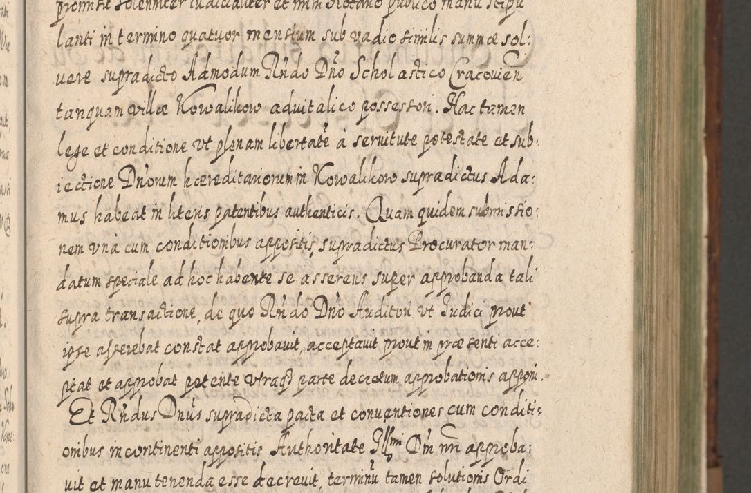 Zdjęcie nr 18 dla obiektu archiwalnego: Acta actorum, causarum spiritualium, civilium, criminalium, obligationum, quietationum, inscpritionum, cessionum, decimarum, testamentorum R. D. Martini Szyszkowski, episcopi Cracoviensis, ducis Severiensis in annis 1620 - 1623. Tomus secundus.