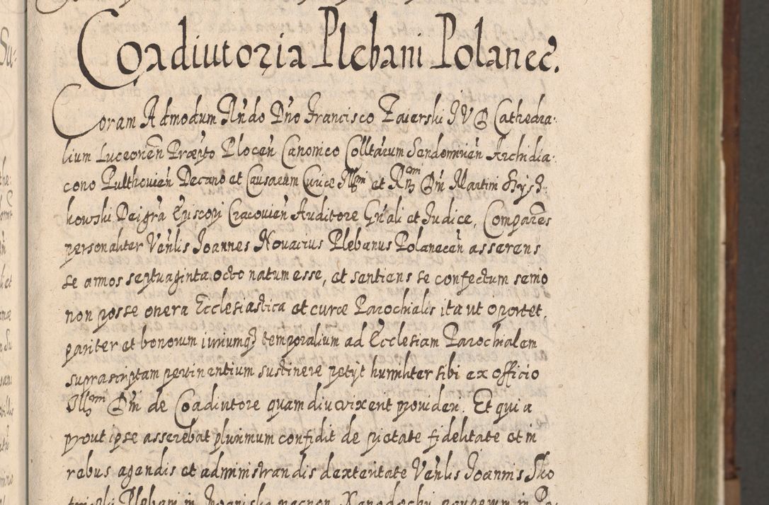 Zdjęcie nr 20 dla obiektu archiwalnego: Acta actorum, causarum spiritualium, civilium, criminalium, obligationum, quietationum, inscpritionum, cessionum, decimarum, testamentorum R. D. Martini Szyszkowski, episcopi Cracoviensis, ducis Severiensis in annis 1620 - 1623. Tomus secundus.