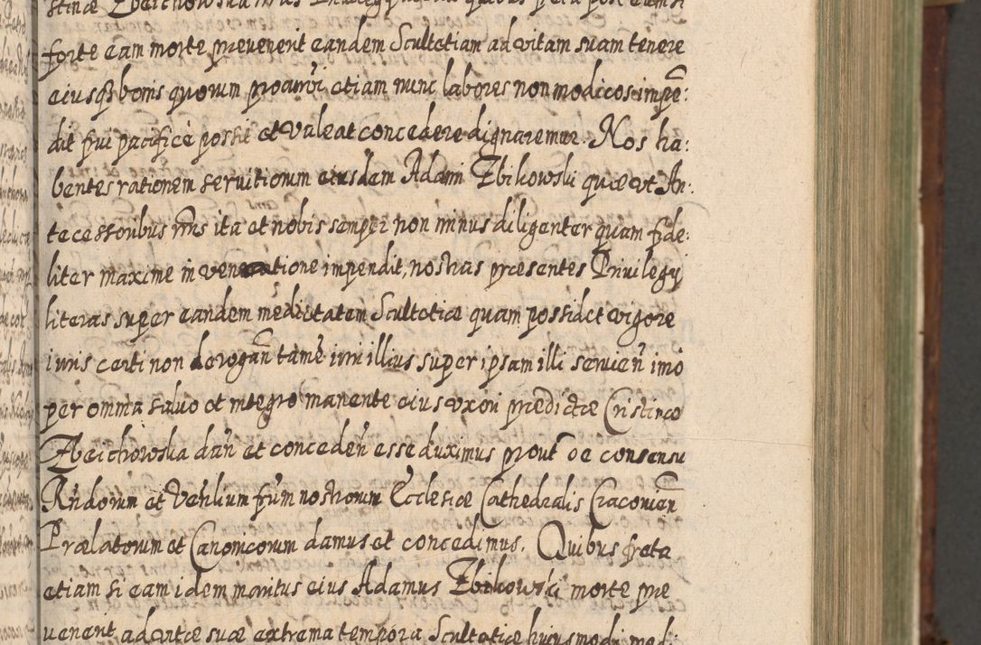 Zdjęcie nr 180 dla obiektu archiwalnego: Acta actorum, causarum spiritualium, civilium, criminalium, obligationum, quietationum, inscpritionum, cessionum, decimarum, testamentorum R. D. Martini Szyszkowski, episcopi Cracoviensis, ducis Severiensis in annis 1620 - 1623. Tomus secundus.