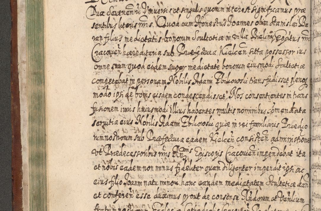 Zdjęcie nr 177 dla obiektu archiwalnego: Acta actorum, causarum spiritualium, civilium, criminalium, obligationum, quietationum, inscpritionum, cessionum, decimarum, testamentorum R. D. Martini Szyszkowski, episcopi Cracoviensis, ducis Severiensis in annis 1620 - 1623. Tomus secundus.