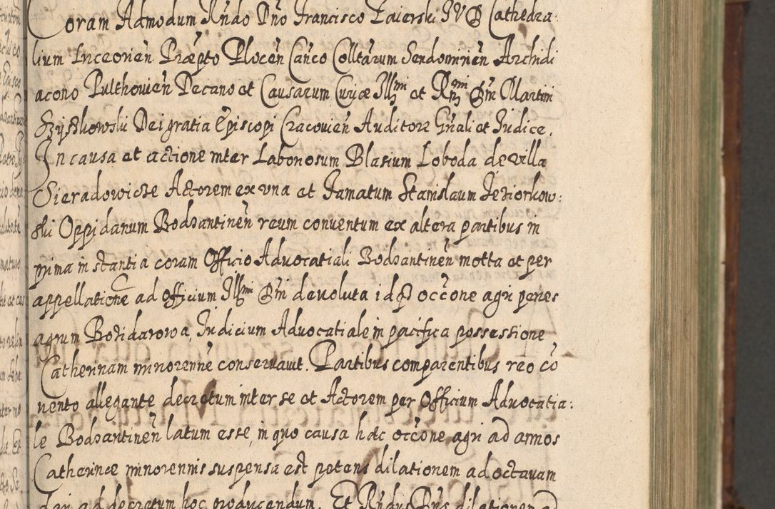 Zdjęcie nr 138 dla obiektu archiwalnego: Acta actorum, causarum spiritualium, civilium, criminalium, obligationum, quietationum, inscpritionum, cessionum, decimarum, testamentorum R. D. Martini Szyszkowski, episcopi Cracoviensis, ducis Severiensis in annis 1620 - 1623. Tomus secundus.