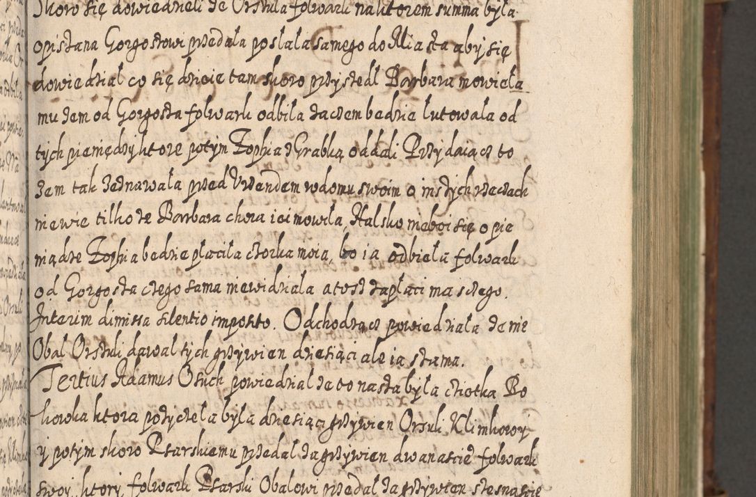Zdjęcie nr 124 dla obiektu archiwalnego: Acta actorum, causarum spiritualium, civilium, criminalium, obligationum, quietationum, inscpritionum, cessionum, decimarum, testamentorum R. D. Martini Szyszkowski, episcopi Cracoviensis, ducis Severiensis in annis 1620 - 1623. Tomus secundus.