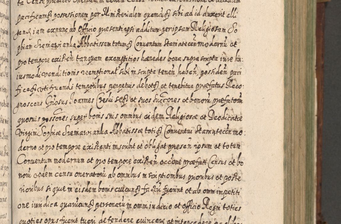 Zdjęcie nr 118 dla obiektu archiwalnego: Acta actorum, causarum spiritualium, civilium, criminalium, obligationum, quietationum, inscpritionum, cessionum, decimarum, testamentorum R. D. Martini Szyszkowski, episcopi Cracoviensis, ducis Severiensis in annis 1620 - 1623. Tomus secundus.