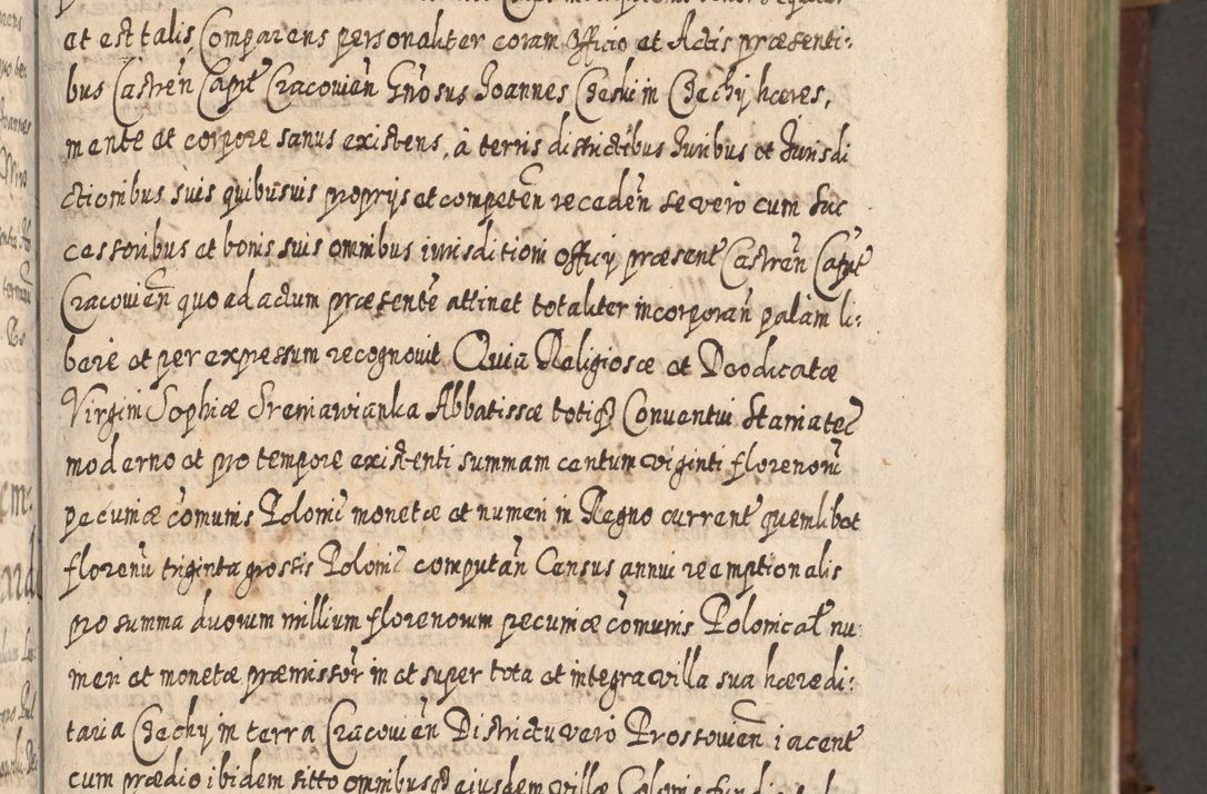 Zdjęcie nr 116 dla obiektu archiwalnego: Acta actorum, causarum spiritualium, civilium, criminalium, obligationum, quietationum, inscpritionum, cessionum, decimarum, testamentorum R. D. Martini Szyszkowski, episcopi Cracoviensis, ducis Severiensis in annis 1620 - 1623. Tomus secundus.