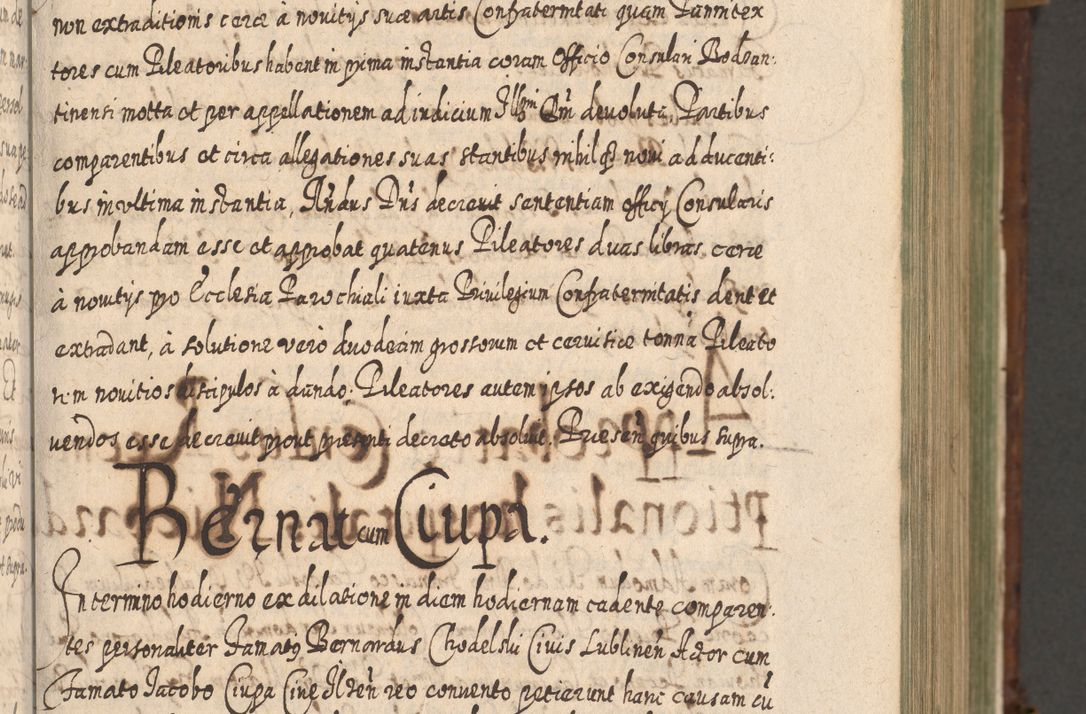 Zdjęcie nr 114 dla obiektu archiwalnego: Acta actorum, causarum spiritualium, civilium, criminalium, obligationum, quietationum, inscpritionum, cessionum, decimarum, testamentorum R. D. Martini Szyszkowski, episcopi Cracoviensis, ducis Severiensis in annis 1620 - 1623. Tomus secundus.