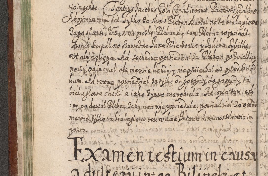 Zdjęcie nr 101 dla obiektu archiwalnego: Acta actorum, causarum spiritualium, civilium, criminalium, obligationum, quietationum, inscpritionum, cessionum, decimarum, testamentorum R. D. Martini Szyszkowski, episcopi Cracoviensis, ducis Severiensis in annis 1620 - 1623. Tomus secundus.