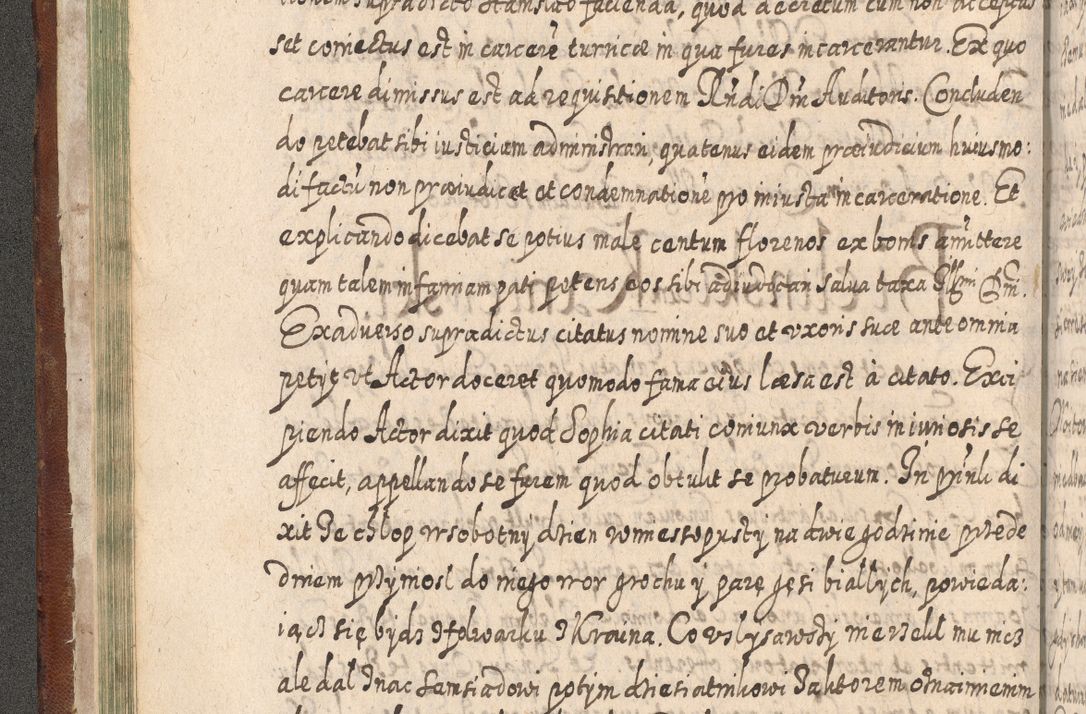 Zdjęcie nr 97 dla obiektu archiwalnego: Acta actorum, causarum spiritualium, civilium, criminalium, obligationum, quietationum, inscpritionum, cessionum, decimarum, testamentorum R. D. Martini Szyszkowski, episcopi Cracoviensis, ducis Severiensis in annis 1620 - 1623. Tomus secundus.