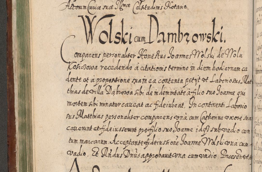 Zdjęcie nr 273 dla obiektu archiwalnego: Acta actorum, causarum spiritualium, civilium, criminalium, obligationum, quietationum, inscpritionum, cessionum, decimarum, testamentorum R. D. Martini Szyszkowski, episcopi Cracoviensis, ducis Severiensis in annis 1620 - 1623. Tomus secundus.