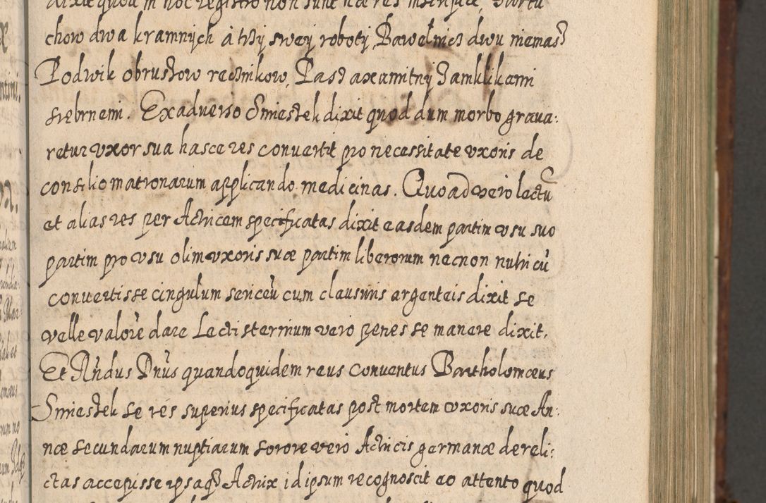 Zdjęcie nr 272 dla obiektu archiwalnego: Acta actorum, causarum spiritualium, civilium, criminalium, obligationum, quietationum, inscpritionum, cessionum, decimarum, testamentorum R. D. Martini Szyszkowski, episcopi Cracoviensis, ducis Severiensis in annis 1620 - 1623. Tomus secundus.