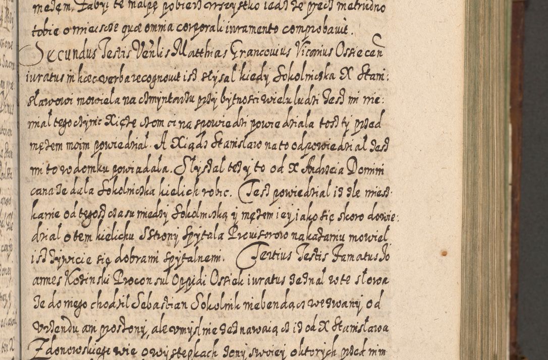 Zdjęcie nr 244 dla obiektu archiwalnego: Acta actorum, causarum spiritualium, civilium, criminalium, obligationum, quietationum, inscpritionum, cessionum, decimarum, testamentorum R. D. Martini Szyszkowski, episcopi Cracoviensis, ducis Severiensis in annis 1620 - 1623. Tomus secundus.