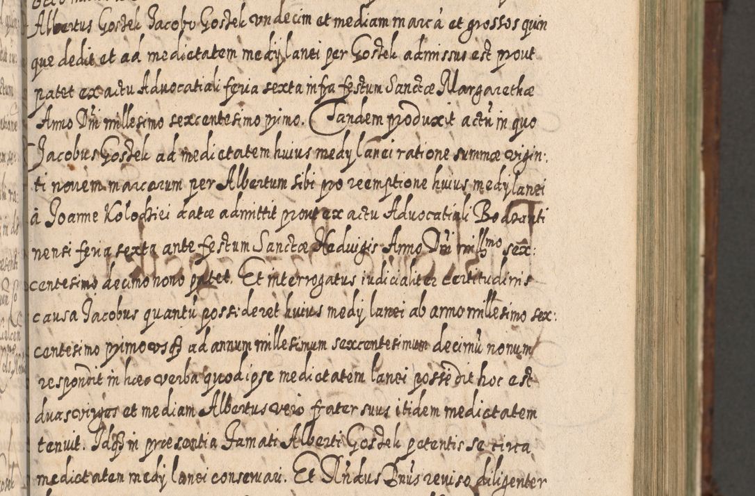 Zdjęcie nr 232 dla obiektu archiwalnego: Acta actorum, causarum spiritualium, civilium, criminalium, obligationum, quietationum, inscpritionum, cessionum, decimarum, testamentorum R. D. Martini Szyszkowski, episcopi Cracoviensis, ducis Severiensis in annis 1620 - 1623. Tomus secundus.