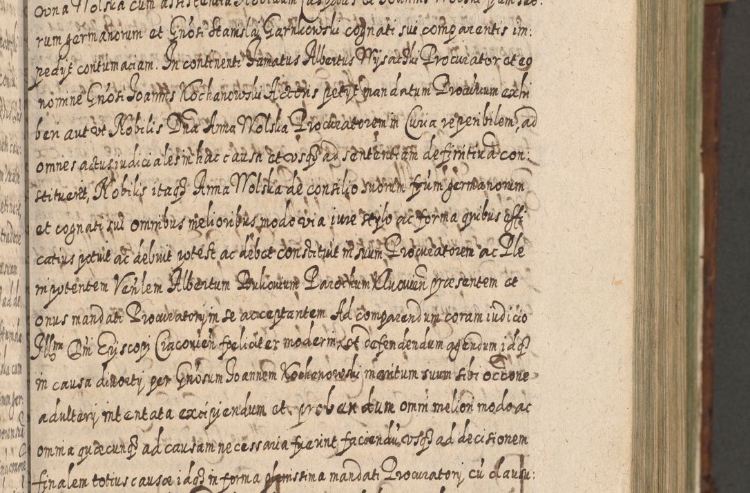 Zdjęcie nr 212 dla obiektu archiwalnego: Acta actorum, causarum spiritualium, civilium, criminalium, obligationum, quietationum, inscpritionum, cessionum, decimarum, testamentorum R. D. Martini Szyszkowski, episcopi Cracoviensis, ducis Severiensis in annis 1620 - 1623. Tomus secundus.