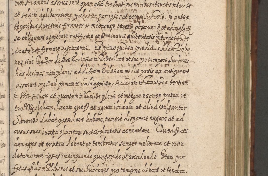 Zdjęcie nr 396 dla obiektu archiwalnego: Acta actorum, causarum spiritualium, civilium, criminalium, obligationum, quietationum, inscpritionum, cessionum, decimarum, testamentorum R. D. Martini Szyszkowski, episcopi Cracoviensis, ducis Severiensis in annis 1620 - 1623. Tomus secundus.