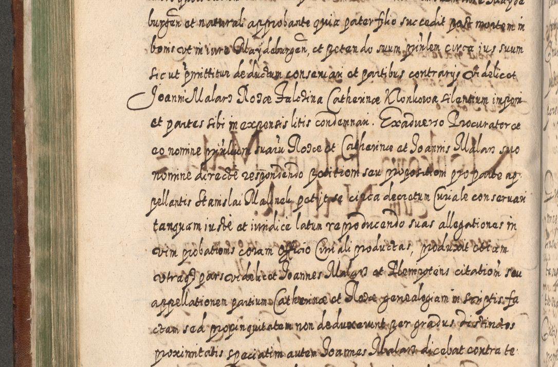 Zdjęcie nr 369 dla obiektu archiwalnego: Acta actorum, causarum spiritualium, civilium, criminalium, obligationum, quietationum, inscpritionum, cessionum, decimarum, testamentorum R. D. Martini Szyszkowski, episcopi Cracoviensis, ducis Severiensis in annis 1620 - 1623. Tomus secundus.