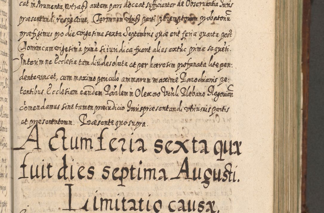 Zdjęcie nr 354 dla obiektu archiwalnego: Acta actorum, causarum spiritualium, civilium, criminalium, obligationum, quietationum, inscpritionum, cessionum, decimarum, testamentorum R. D. Martini Szyszkowski, episcopi Cracoviensis, ducis Severiensis in annis 1620 - 1623. Tomus secundus.
