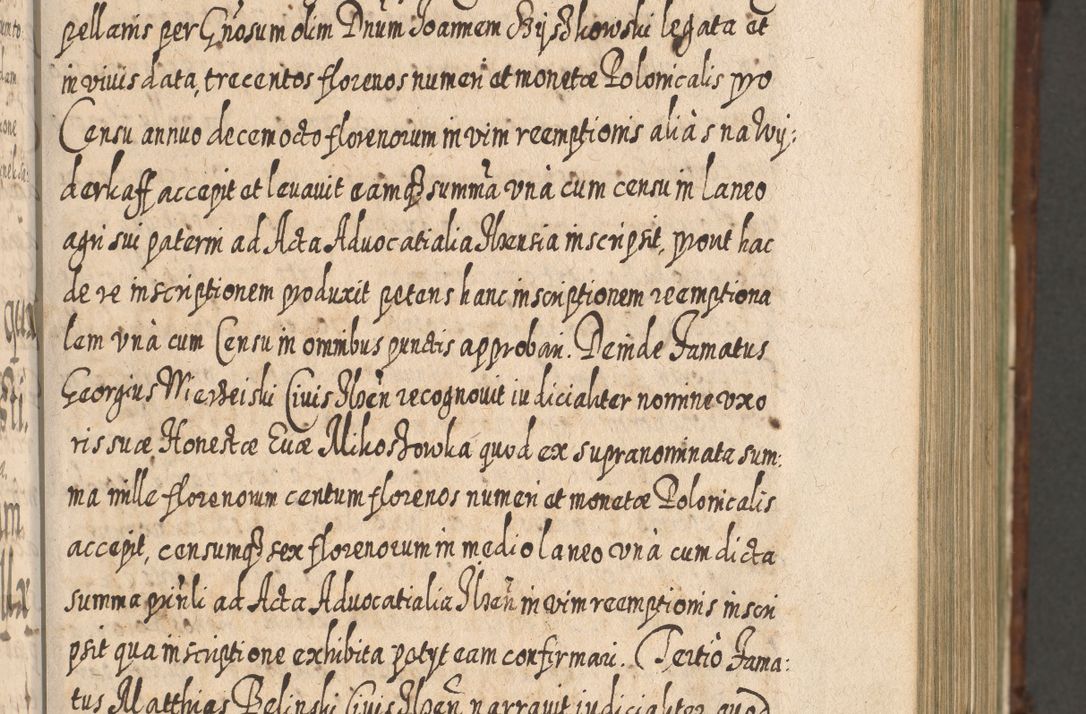 Zdjęcie nr 350 dla obiektu archiwalnego: Acta actorum, causarum spiritualium, civilium, criminalium, obligationum, quietationum, inscpritionum, cessionum, decimarum, testamentorum R. D. Martini Szyszkowski, episcopi Cracoviensis, ducis Severiensis in annis 1620 - 1623. Tomus secundus.