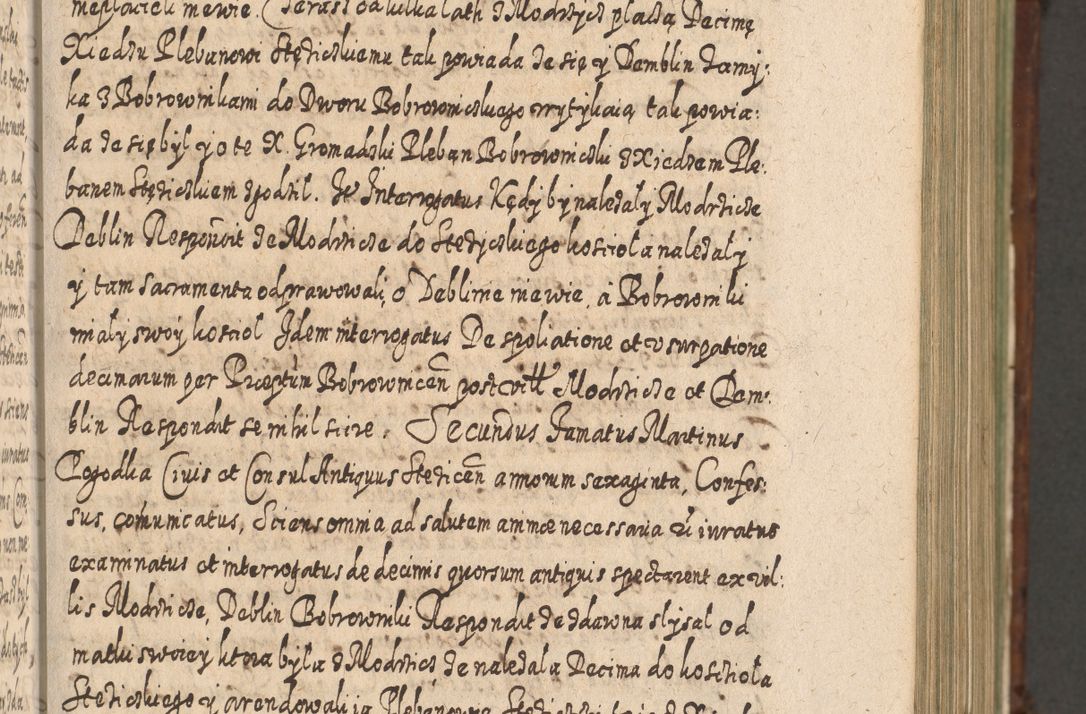 Zdjęcie nr 336 dla obiektu archiwalnego: Acta actorum, causarum spiritualium, civilium, criminalium, obligationum, quietationum, inscpritionum, cessionum, decimarum, testamentorum R. D. Martini Szyszkowski, episcopi Cracoviensis, ducis Severiensis in annis 1620 - 1623. Tomus secundus.