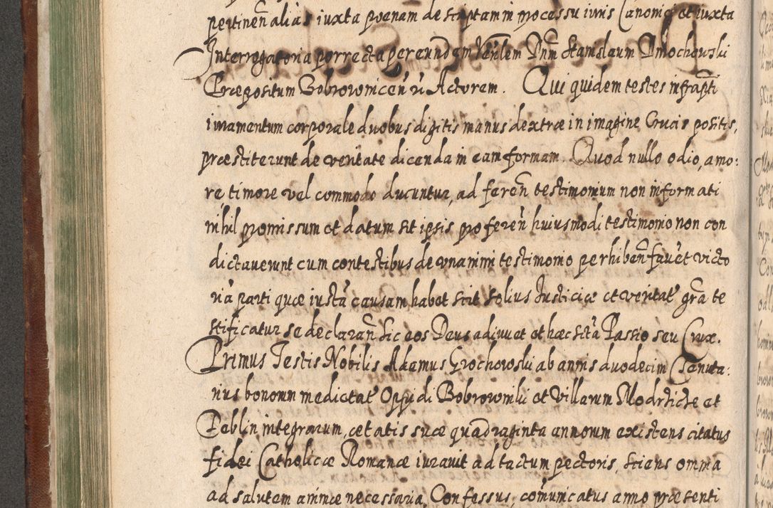 Zdjęcie nr 327 dla obiektu archiwalnego: Acta actorum, causarum spiritualium, civilium, criminalium, obligationum, quietationum, inscpritionum, cessionum, decimarum, testamentorum R. D. Martini Szyszkowski, episcopi Cracoviensis, ducis Severiensis in annis 1620 - 1623. Tomus secundus.