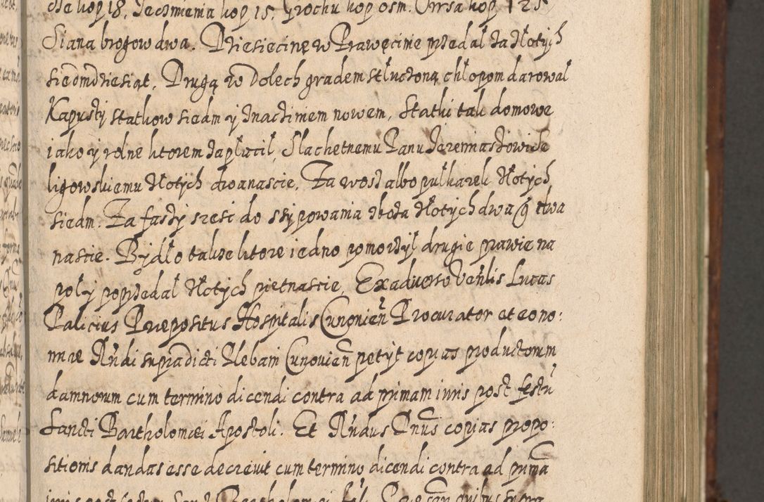 Zdjęcie nr 312 dla obiektu archiwalnego: Acta actorum, causarum spiritualium, civilium, criminalium, obligationum, quietationum, inscpritionum, cessionum, decimarum, testamentorum R. D. Martini Szyszkowski, episcopi Cracoviensis, ducis Severiensis in annis 1620 - 1623. Tomus secundus.