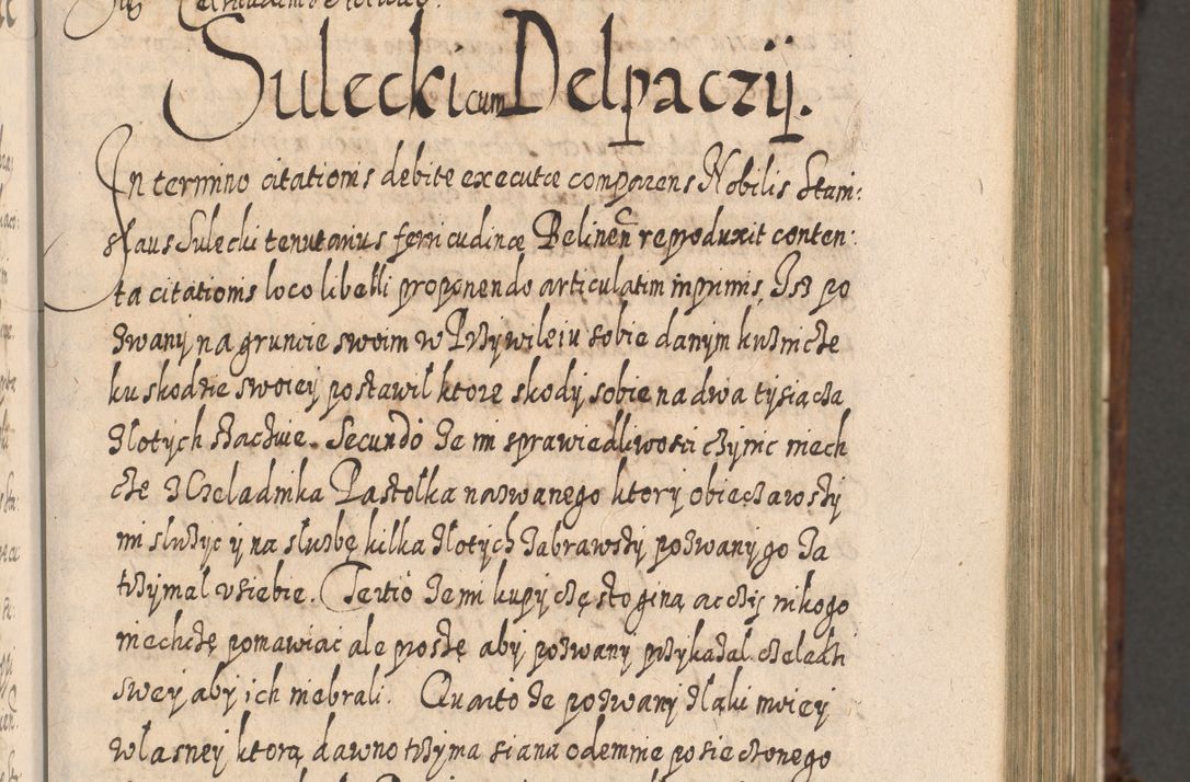 Zdjęcie nr 294 dla obiektu archiwalnego: Acta actorum, causarum spiritualium, civilium, criminalium, obligationum, quietationum, inscpritionum, cessionum, decimarum, testamentorum R. D. Martini Szyszkowski, episcopi Cracoviensis, ducis Severiensis in annis 1620 - 1623. Tomus secundus.