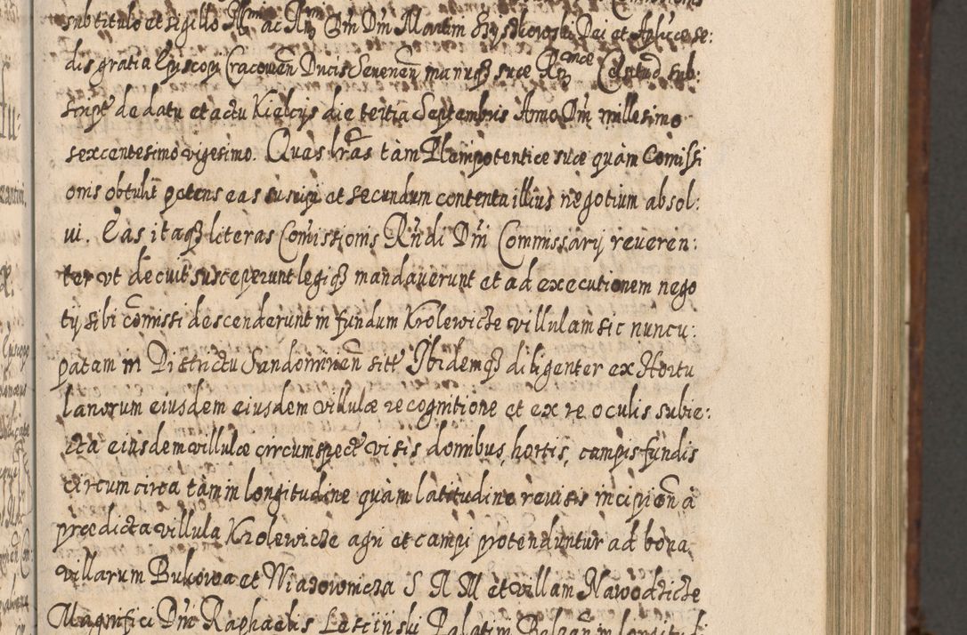 Zdjęcie nr 448 dla obiektu archiwalnego: Acta actorum, causarum spiritualium, civilium, criminalium, obligationum, quietationum, inscpritionum, cessionum, decimarum, testamentorum R. D. Martini Szyszkowski, episcopi Cracoviensis, ducis Severiensis in annis 1620 - 1623. Tomus secundus.