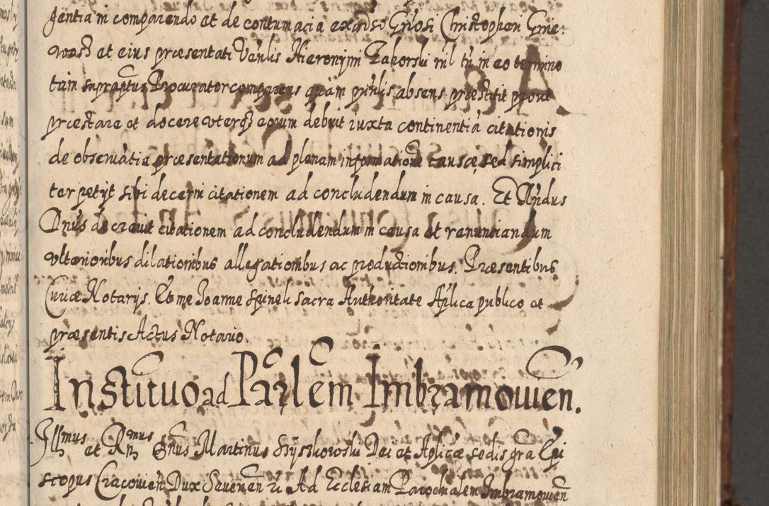 Zdjęcie nr 446 dla obiektu archiwalnego: Acta actorum, causarum spiritualium, civilium, criminalium, obligationum, quietationum, inscpritionum, cessionum, decimarum, testamentorum R. D. Martini Szyszkowski, episcopi Cracoviensis, ducis Severiensis in annis 1620 - 1623. Tomus secundus.