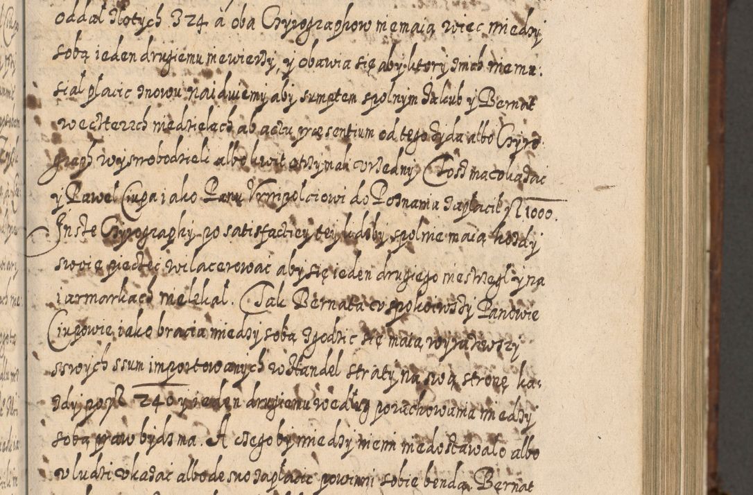 Zdjęcie nr 432 dla obiektu archiwalnego: Acta actorum, causarum spiritualium, civilium, criminalium, obligationum, quietationum, inscpritionum, cessionum, decimarum, testamentorum R. D. Martini Szyszkowski, episcopi Cracoviensis, ducis Severiensis in annis 1620 - 1623. Tomus secundus.