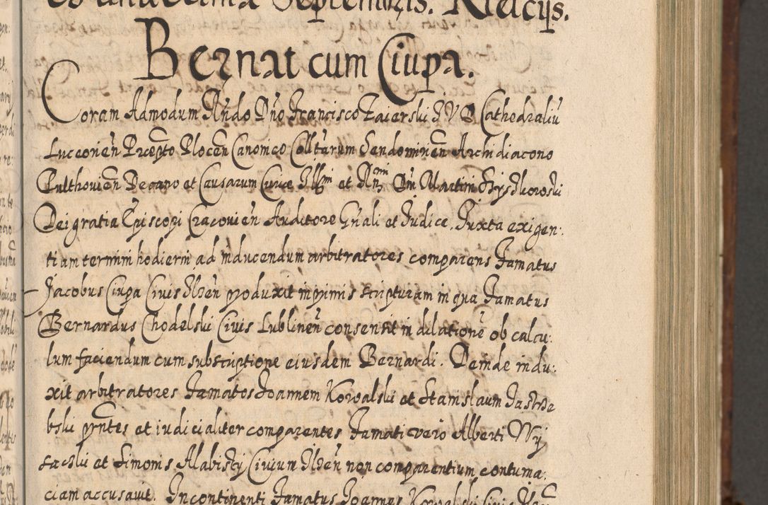 Zdjęcie nr 426 dla obiektu archiwalnego: Acta actorum, causarum spiritualium, civilium, criminalium, obligationum, quietationum, inscpritionum, cessionum, decimarum, testamentorum R. D. Martini Szyszkowski, episcopi Cracoviensis, ducis Severiensis in annis 1620 - 1623. Tomus secundus.