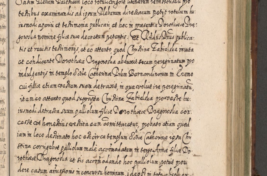 Zdjęcie nr 574 dla obiektu archiwalnego: Acta actorum, causarum spiritualium, civilium, criminalium, obligationum, quietationum, inscpritionum, cessionum, decimarum, testamentorum R. D. Martini Szyszkowski, episcopi Cracoviensis, ducis Severiensis in annis 1620 - 1623. Tomus secundus.