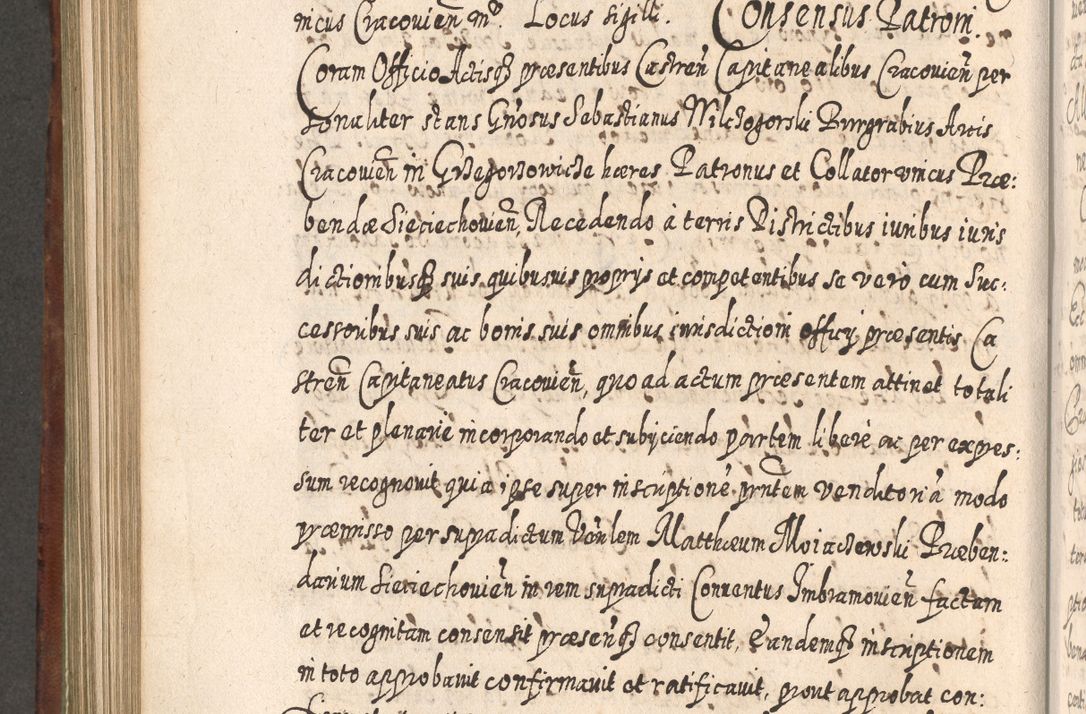 Zdjęcie nr 781 dla obiektu archiwalnego: Acta actorum, causarum spiritualium, civilium, criminalium, obligationum, quietationum, inscpritionum, cessionum, decimarum, testamentorum R. D. Martini Szyszkowski, episcopi Cracoviensis, ducis Severiensis in annis 1620 - 1623. Tomus secundus.