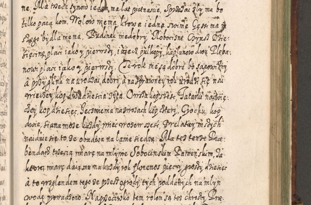 Zdjęcie nr 780 dla obiektu archiwalnego: Acta actorum, causarum spiritualium, civilium, criminalium, obligationum, quietationum, inscpritionum, cessionum, decimarum, testamentorum R. D. Martini Szyszkowski, episcopi Cracoviensis, ducis Severiensis in annis 1620 - 1623. Tomus secundus.