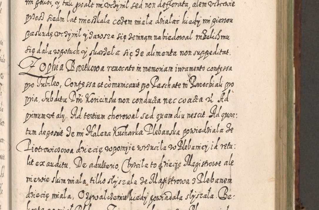 Zdjęcie nr 702 dla obiektu archiwalnego: Acta actorum, causarum spiritualium, civilium, criminalium, obligationum, quietationum, inscpritionum, cessionum, decimarum, testamentorum R. D. Martini Szyszkowski, episcopi Cracoviensis, ducis Severiensis in annis 1620 - 1623. Tomus secundus.