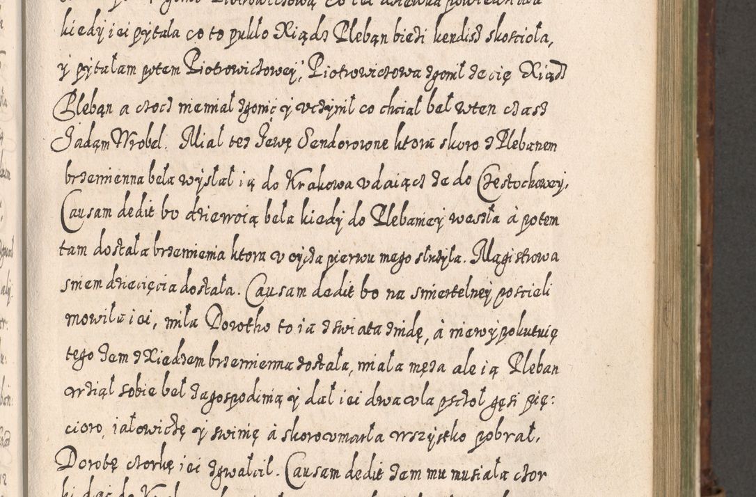 Zdjęcie nr 698 dla obiektu archiwalnego: Acta actorum, causarum spiritualium, civilium, criminalium, obligationum, quietationum, inscpritionum, cessionum, decimarum, testamentorum R. D. Martini Szyszkowski, episcopi Cracoviensis, ducis Severiensis in annis 1620 - 1623. Tomus secundus.