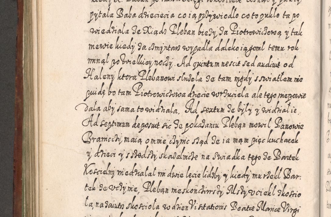 Zdjęcie nr 689 dla obiektu archiwalnego: Acta actorum, causarum spiritualium, civilium, criminalium, obligationum, quietationum, inscpritionum, cessionum, decimarum, testamentorum R. D. Martini Szyszkowski, episcopi Cracoviensis, ducis Severiensis in annis 1620 - 1623. Tomus secundus.