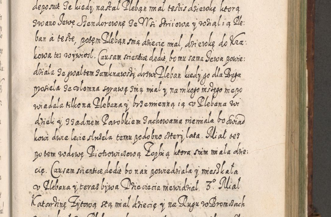 Zdjęcie nr 688 dla obiektu archiwalnego: Acta actorum, causarum spiritualium, civilium, criminalium, obligationum, quietationum, inscpritionum, cessionum, decimarum, testamentorum R. D. Martini Szyszkowski, episcopi Cracoviensis, ducis Severiensis in annis 1620 - 1623. Tomus secundus.