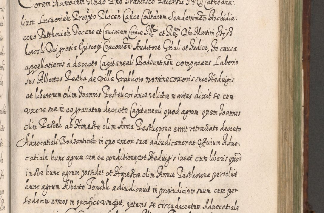 Zdjęcie nr 658 dla obiektu archiwalnego: Acta actorum, causarum spiritualium, civilium, criminalium, obligationum, quietationum, inscpritionum, cessionum, decimarum, testamentorum R. D. Martini Szyszkowski, episcopi Cracoviensis, ducis Severiensis in annis 1620 - 1623. Tomus secundus.